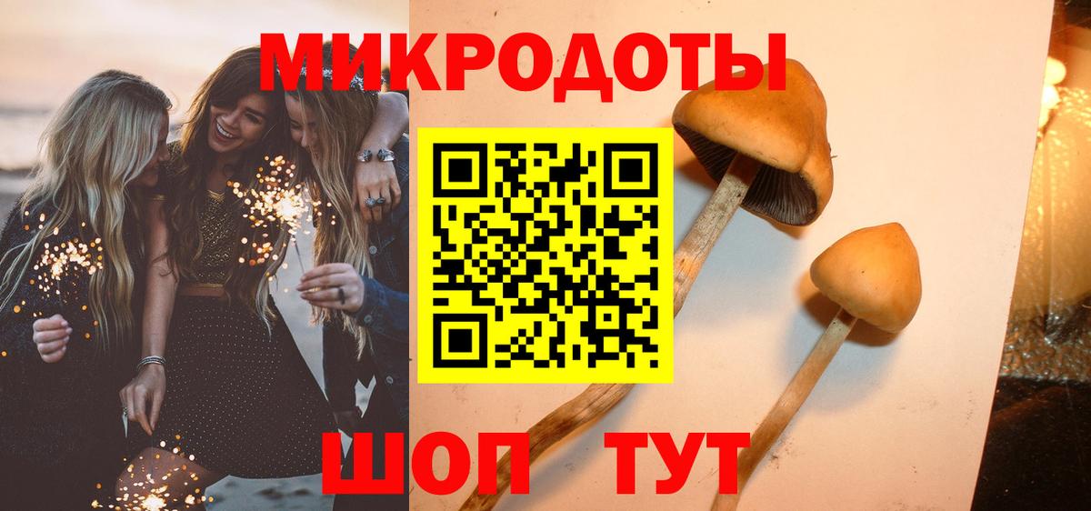 Псилоцибиновые грибы Psilocybine cubensis  Псилоцибиновые грибы Cubensis  Вход с VPN  Кострома 